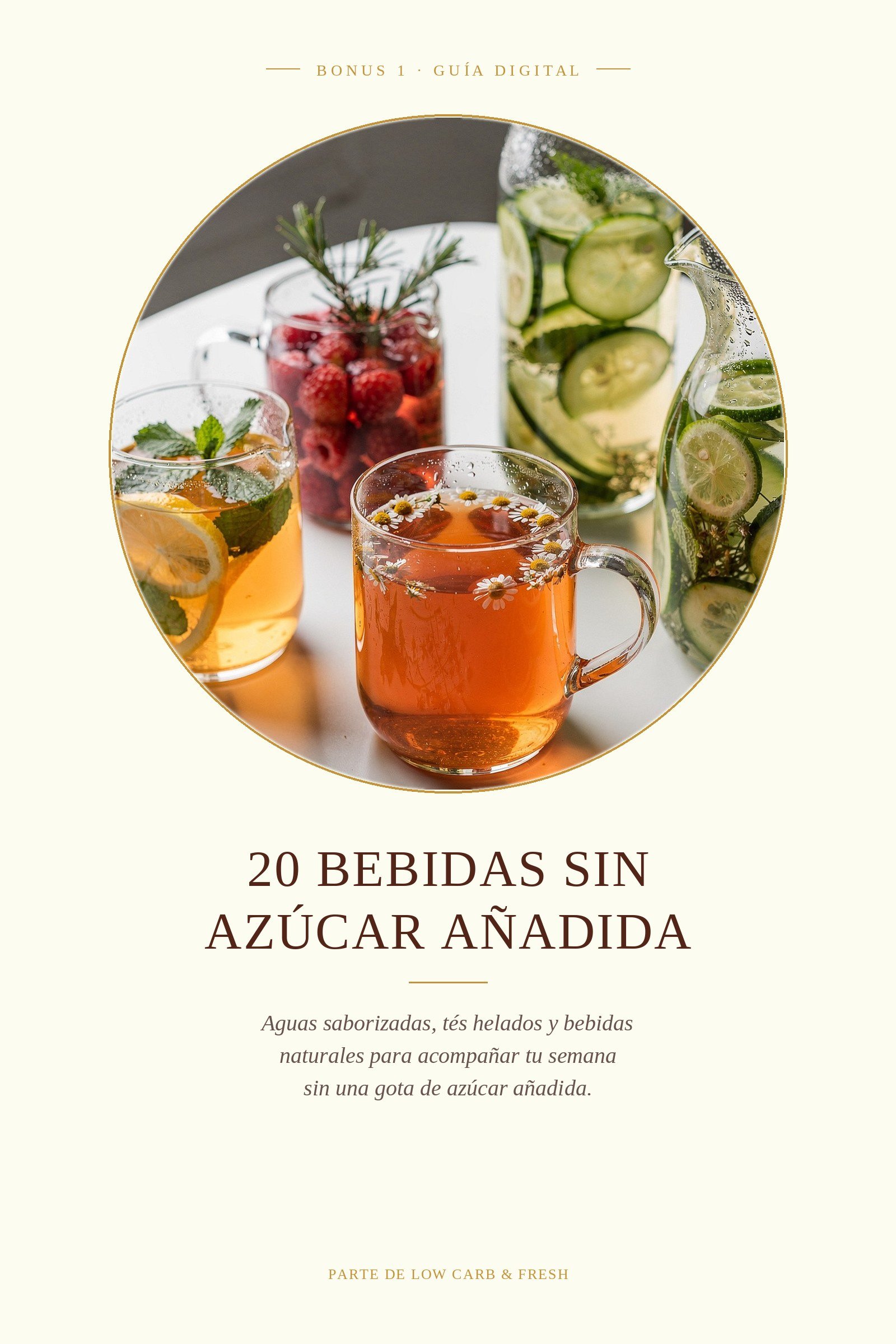 Bonus 1 — 20 Bebidas Sin Azúcar Añadida